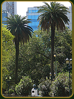Plaza Lavalle - Argentina