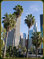 Ciudad Los Angeles- California