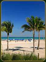 Playa de Miami - Florida